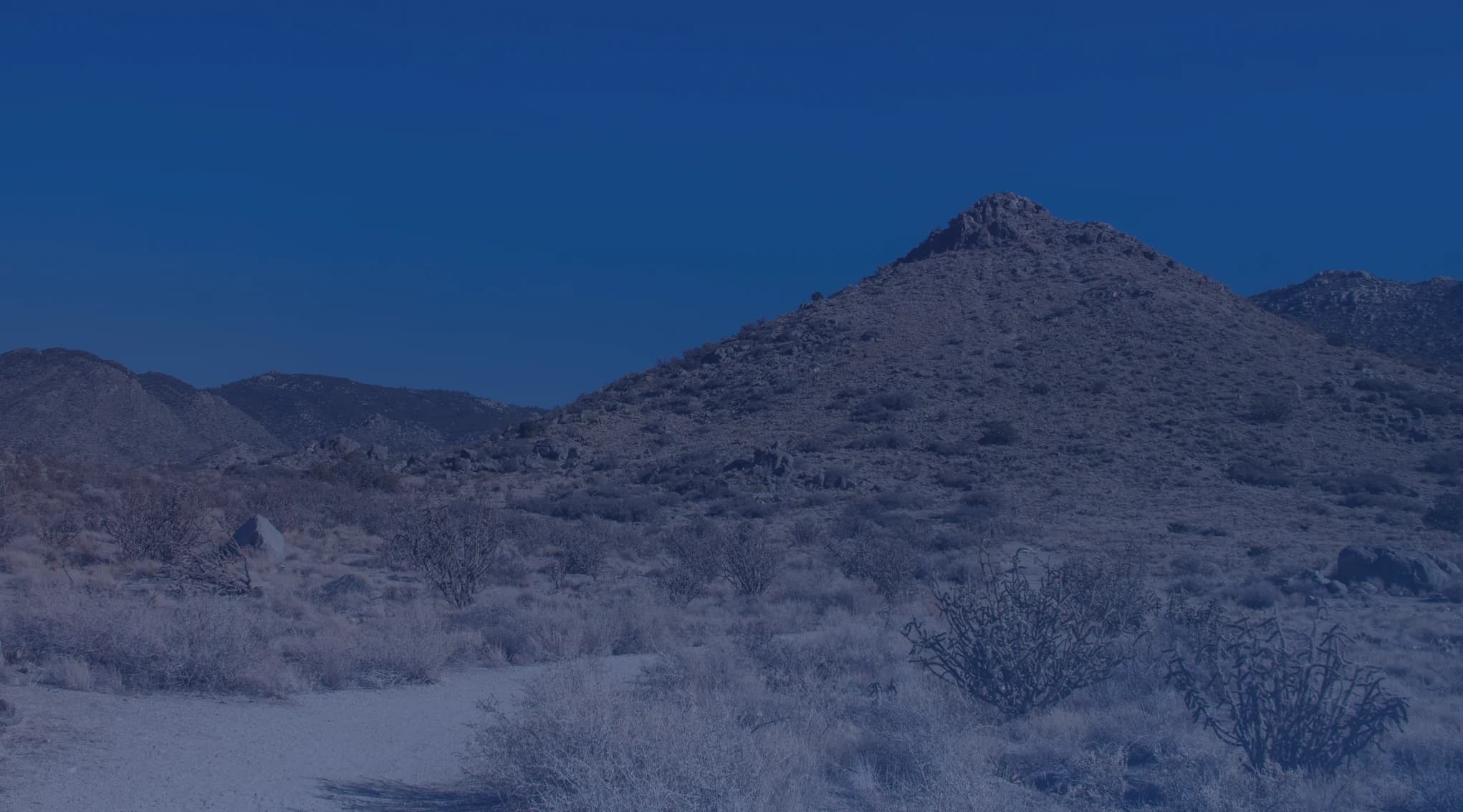 A rocky desert peak rising over sagebrush and a sandy trail under a clear New Mexico sky