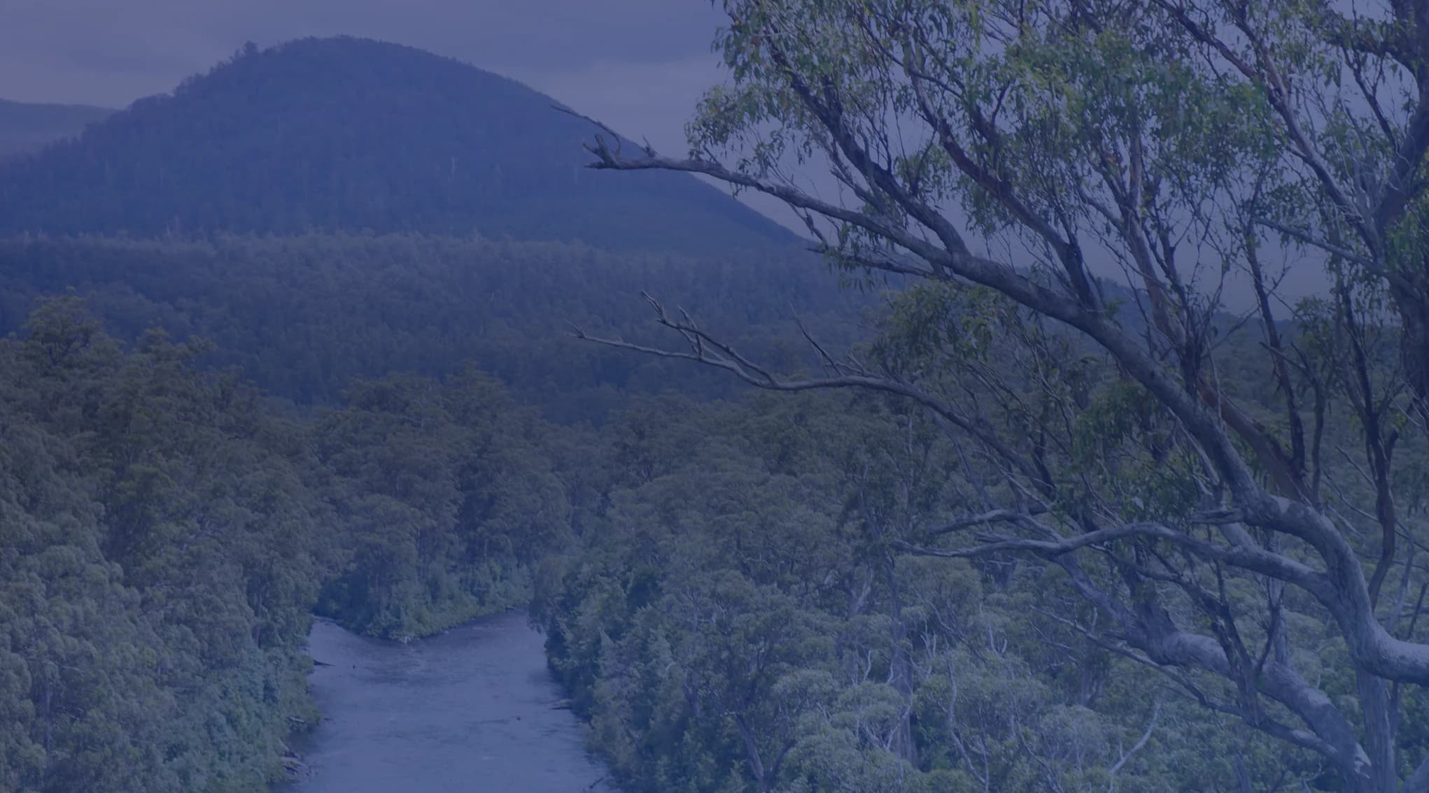 A river winds through a densely forested valley with a tree-covered hill rising in the background under an overcast sky.