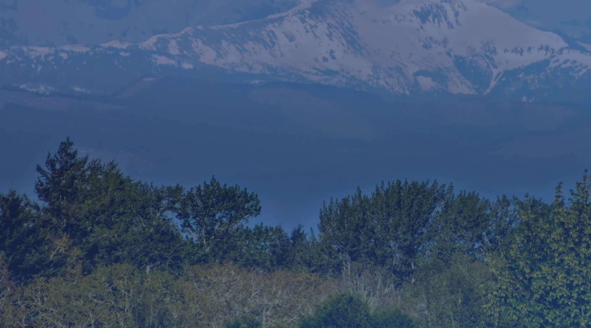 A snow-capped Cascade mountain rising above a line of evergreen trees and brush in western Washington