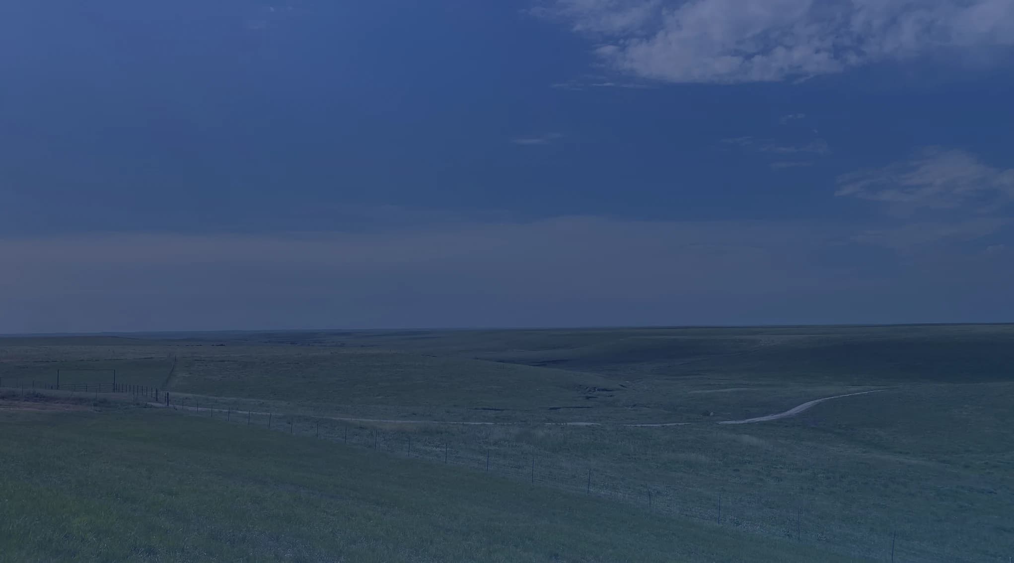 A wide green prairie rolls toward a flat horizon under a big blue sky, with a fence line crossing open grassland.
