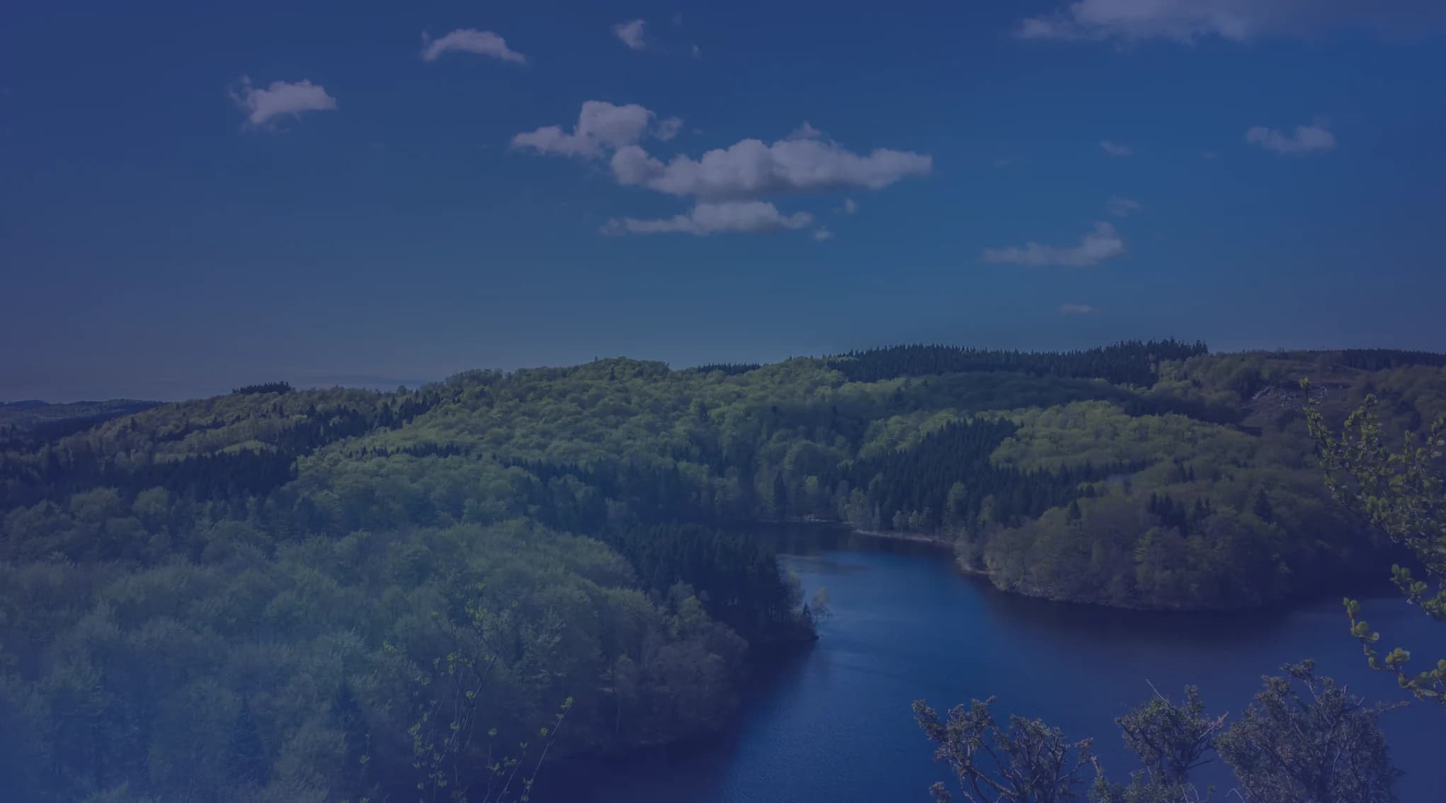 An overlook of a blue river winding through rolling green wooded hills, like the Chattahoochee Valley near Columbus, Georgia.