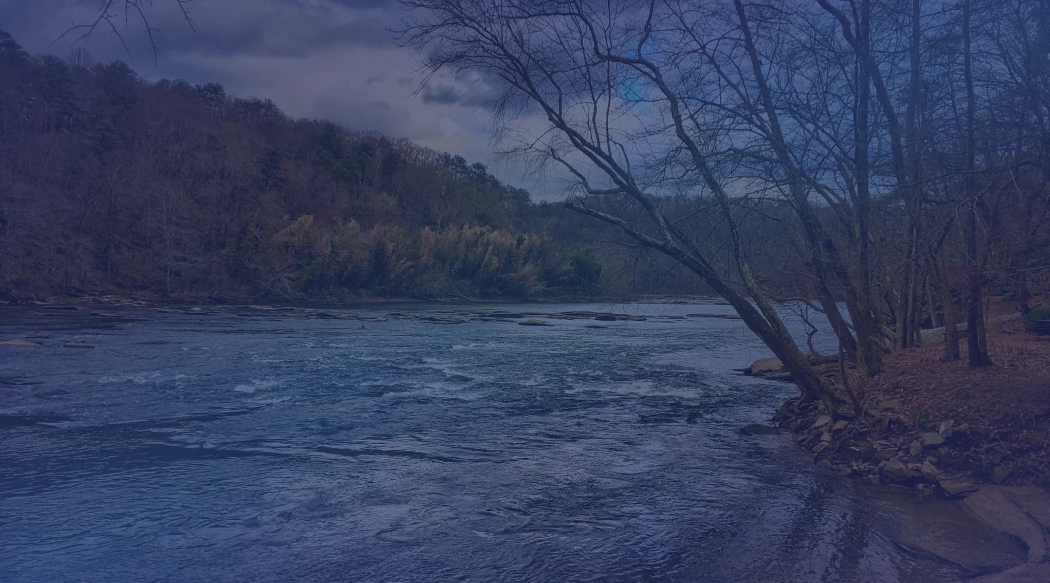 A rocky Georgia river with wooded banks under a cloudy sky, like the Savannah River near Augusta