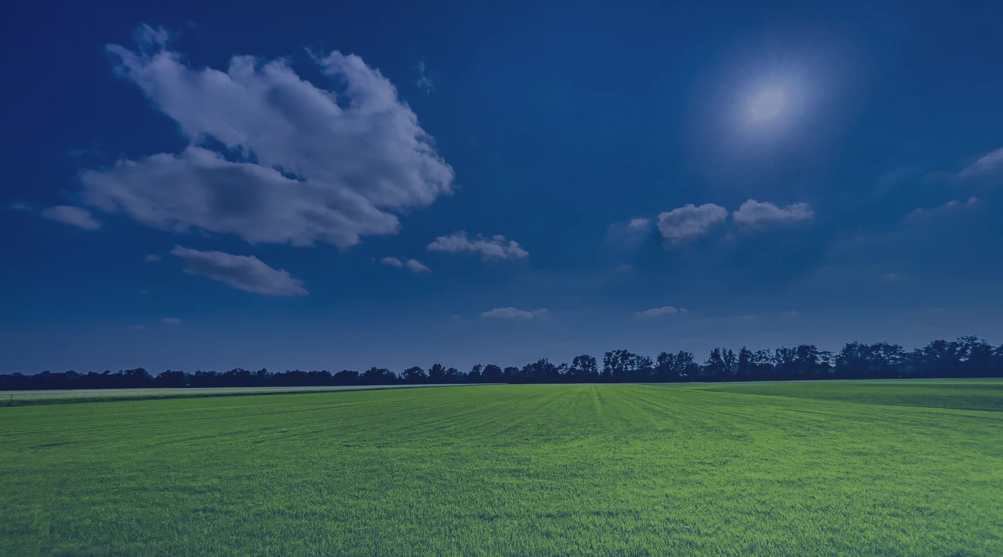 A wide green field under a bright blue summer sky with trees lining the horizon, evoking the rural Wiregrass countryside of southeast Alabama near Fort Rucker