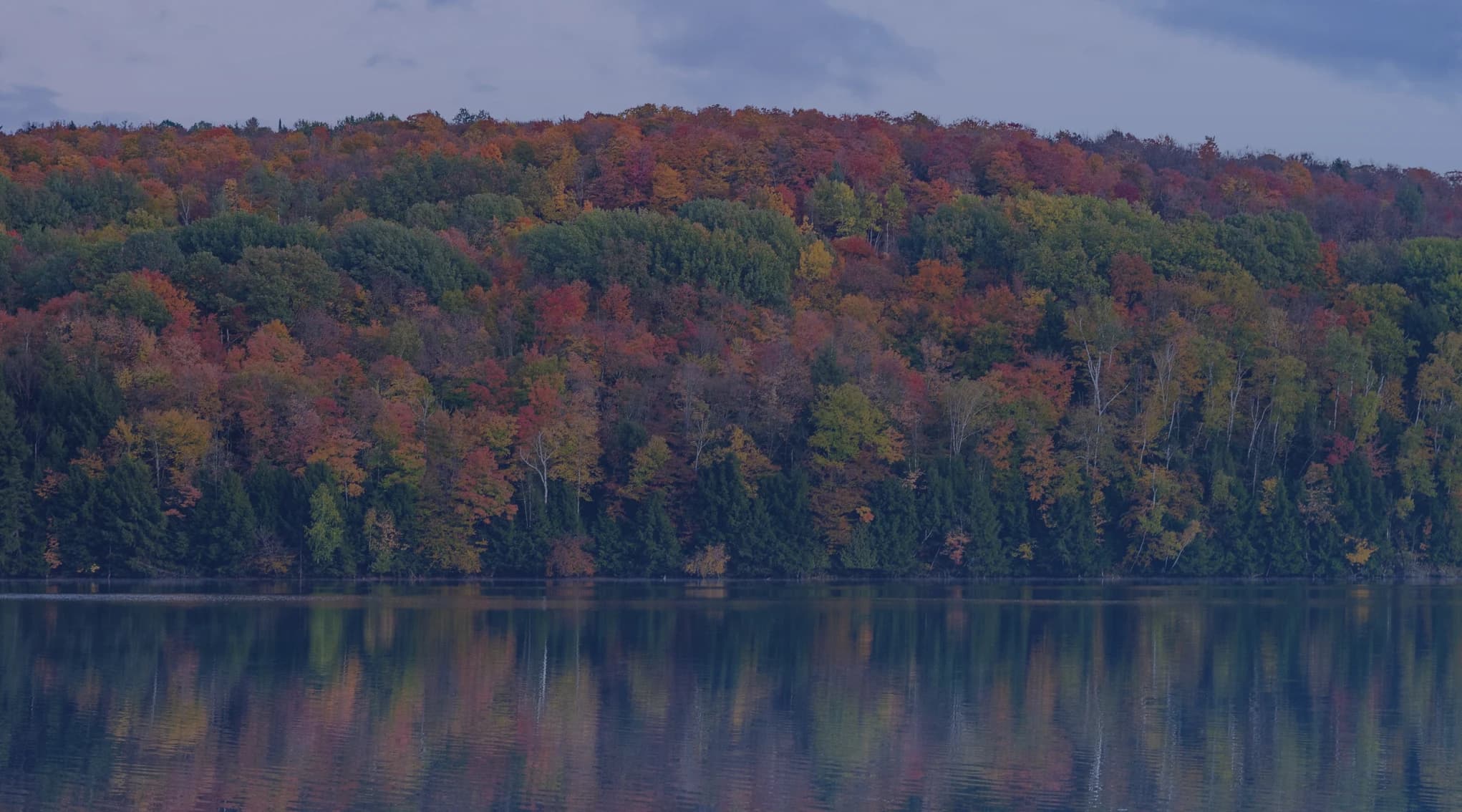 New England autumn foliage in shades of red, orange, and green reflected in a still lake in the greater Boston region of Massachusetts