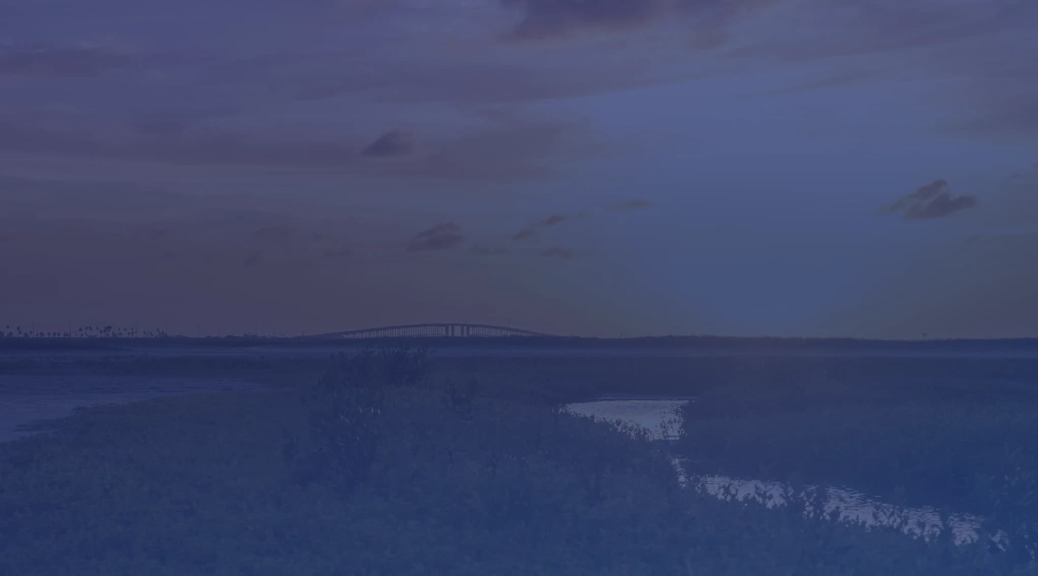 Coastal sunset over Mustang Island and Corpus Christi Bay, with a bridge silhouetted against a warm orange sky and Gulf Coast wetland vegetation in the foreground