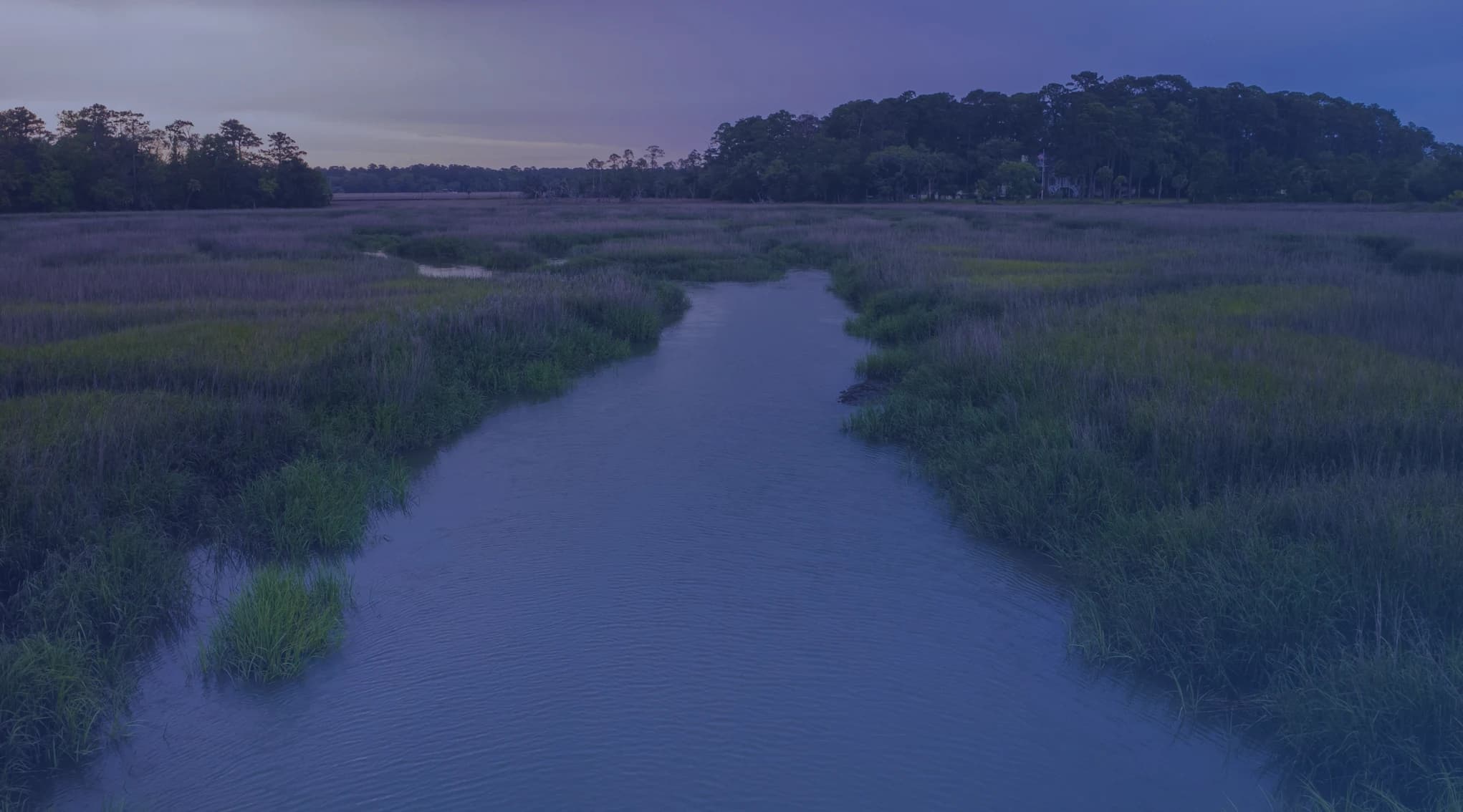 A tidal creek winds through coastal salt marsh at sunset near Savannah, Georgia, with live oaks lining the far bank